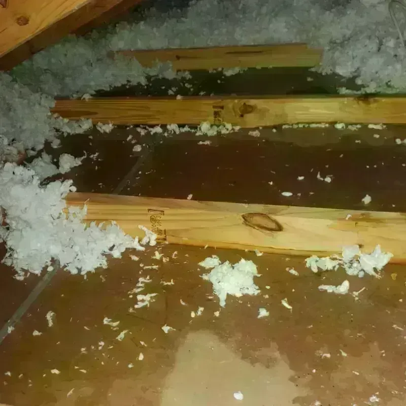 Attic Water Damage in Rosemont, IL