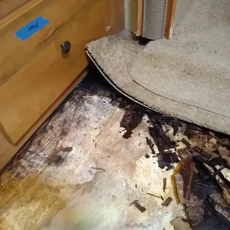 Best Wood Floor Water Damage Service in Rosemont, IL